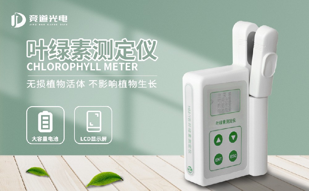 利用叶绿素测定仪把握动物发展状态