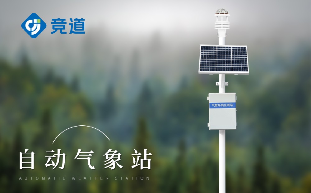 丛林主动景象形象站