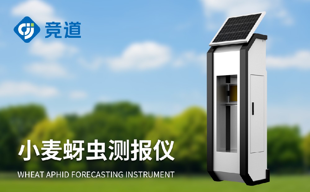 小麦蚜虫监测仪为蚜虫虫害管理供给赞助