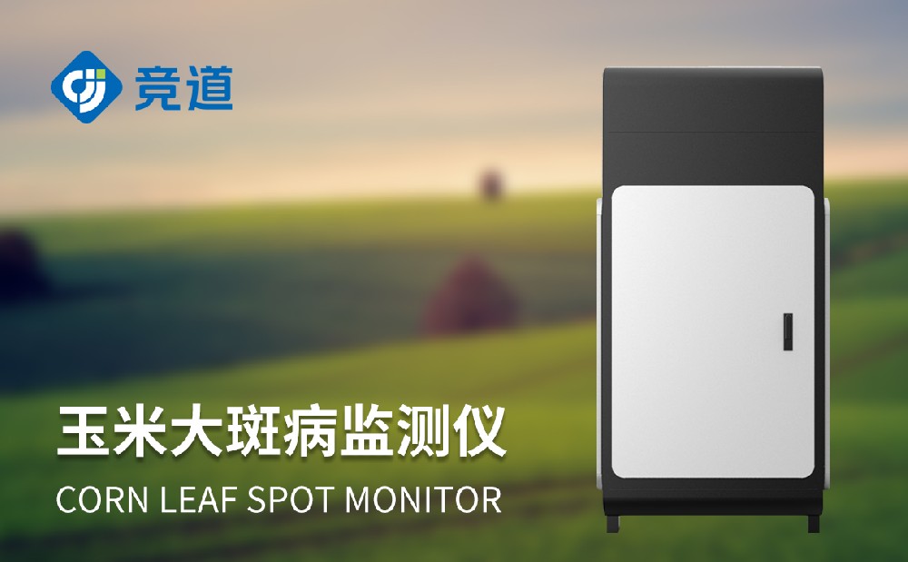 玉米大斑病防治老手段，玉米大斑病监测仪晋升病害办理才能