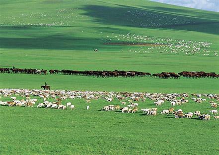 草原景象形象情况监测体系