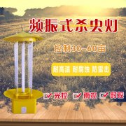 频振式农用杀虫灯概况先容