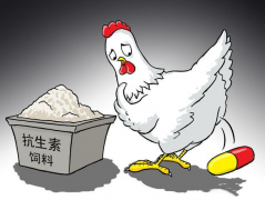 食物抗生素层见叠出，若何检测？