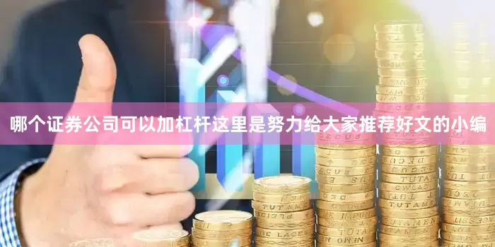 哪个证券公司可以加杠杆这里是努力给大家推荐好文的小编