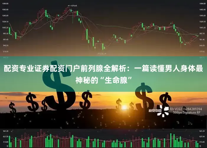 配资专业证券配资门户前列腺全解析：一篇读懂男人身体最神秘的“生命腺”