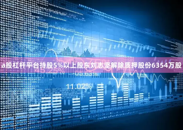 a股杠杆平台持股5%以上股东刘志坚解除质押股份6354万股